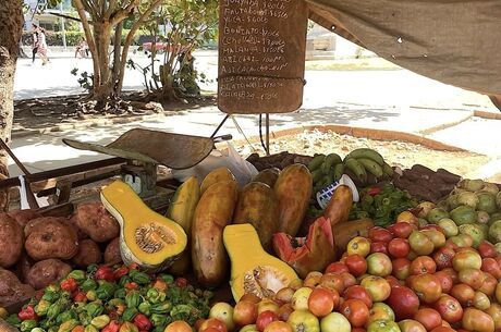 2-12 Aralık Küba Turu 2026